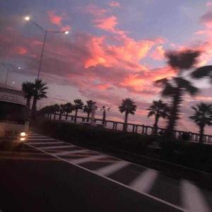 动漫打白嫩㊙️光屁屁女网站
