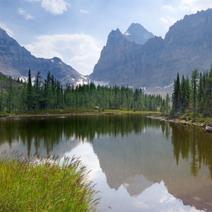 动漫打白嫩㊙️光屁屁女网站

